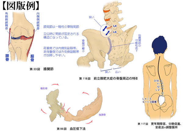 内臓体壁反射による異常観察と調整テクニック/概論
