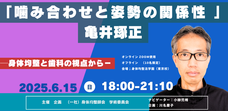 噛み合わせと姿勢の関係性