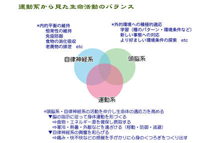 ^n猩̃oX